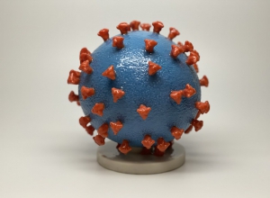Das Corona-Virus sorgt für viele Absagen.