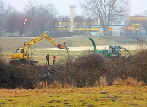 Arbeitsbeginn Montagmorgen im Regen: Zwischen der Nordwalder Straße und der Fußgängerbrücke zum Bahnhof werden in dieser Woche beidseitig die Weiden auf den Stock gesetzt. (Foto: Oliver Hengst)